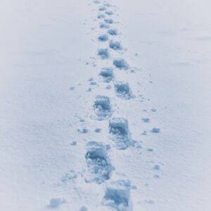 Footsteps trail deep snow