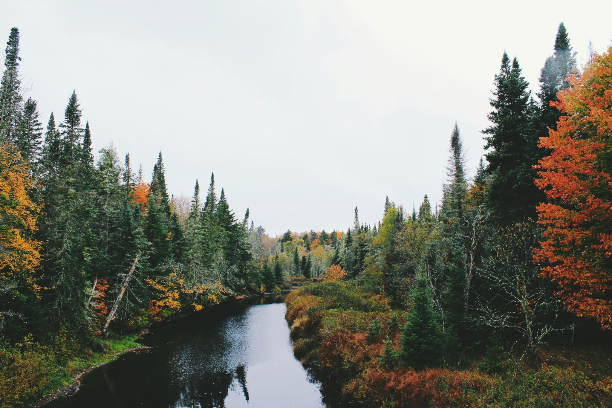 Forest river in fall