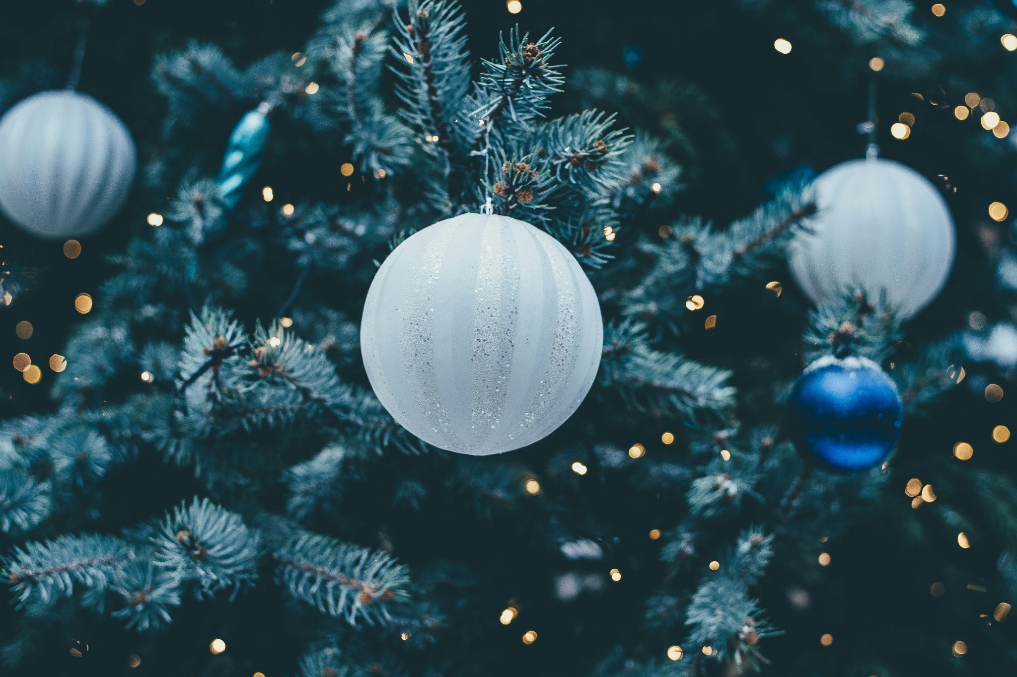 Frosted christmas baubles blue pine tree