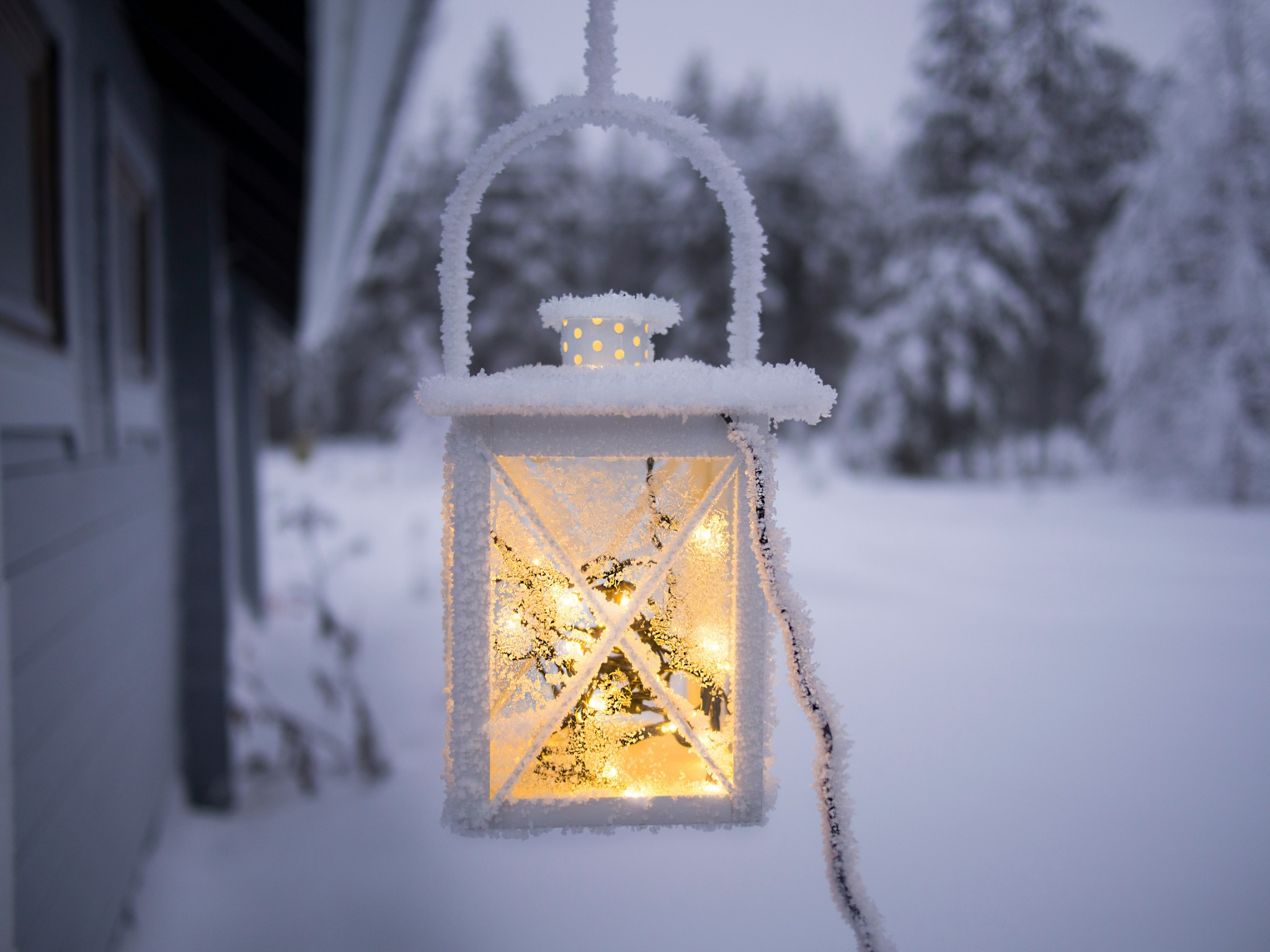 Frosty lantern winter night