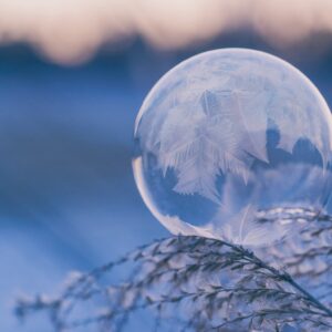 Frozen bubble plant stem