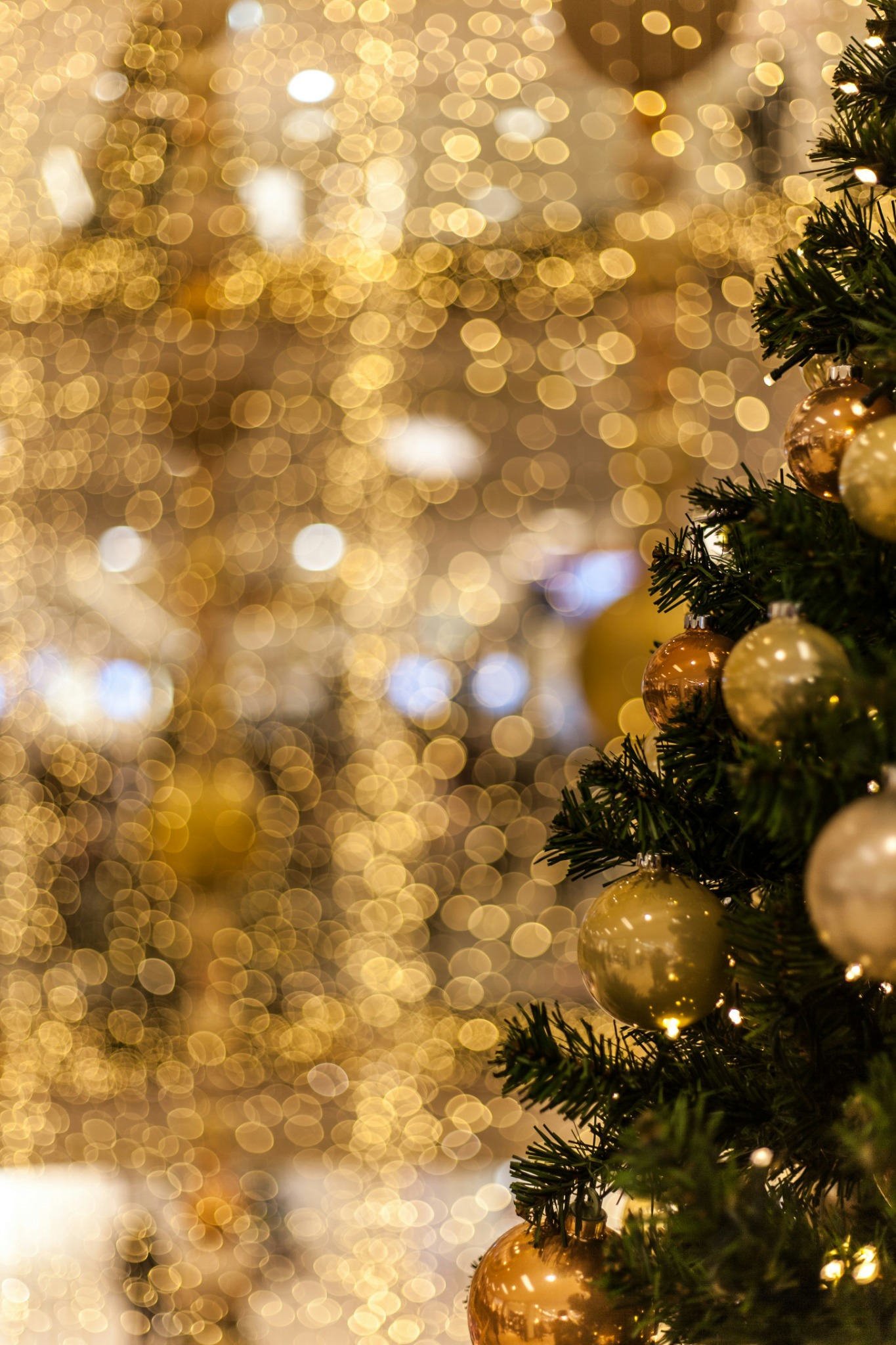 Golden christmas tree lights bokeh