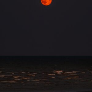 Harvest moon over calm sea