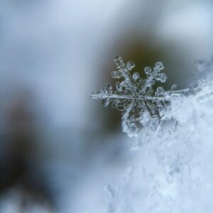 Intricate snowflake close up