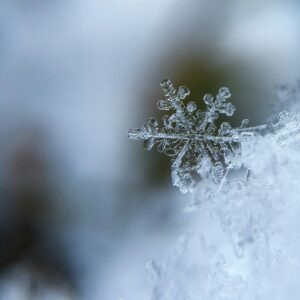 Intricate snowflake close up