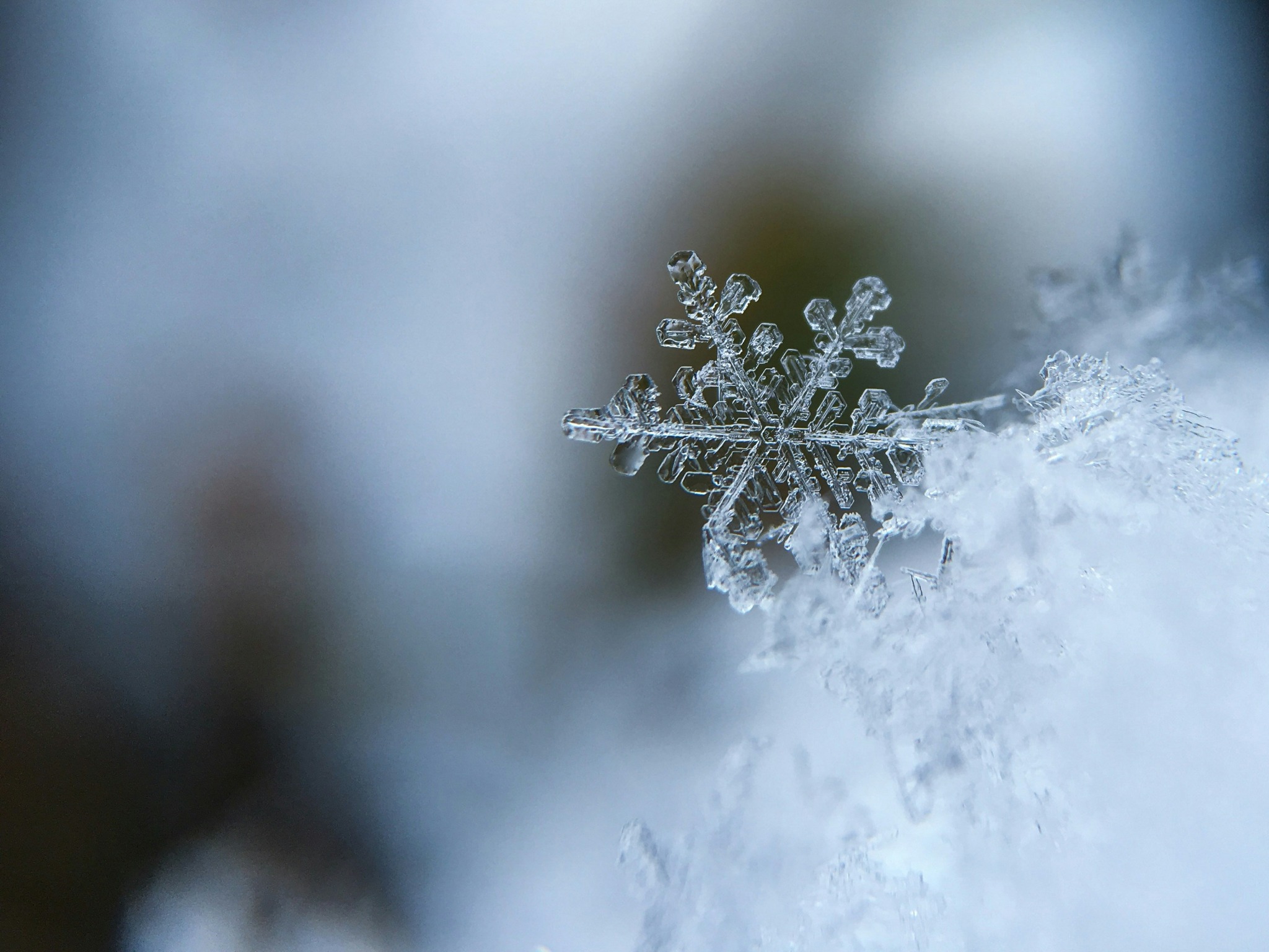 Intricate snowflake close up