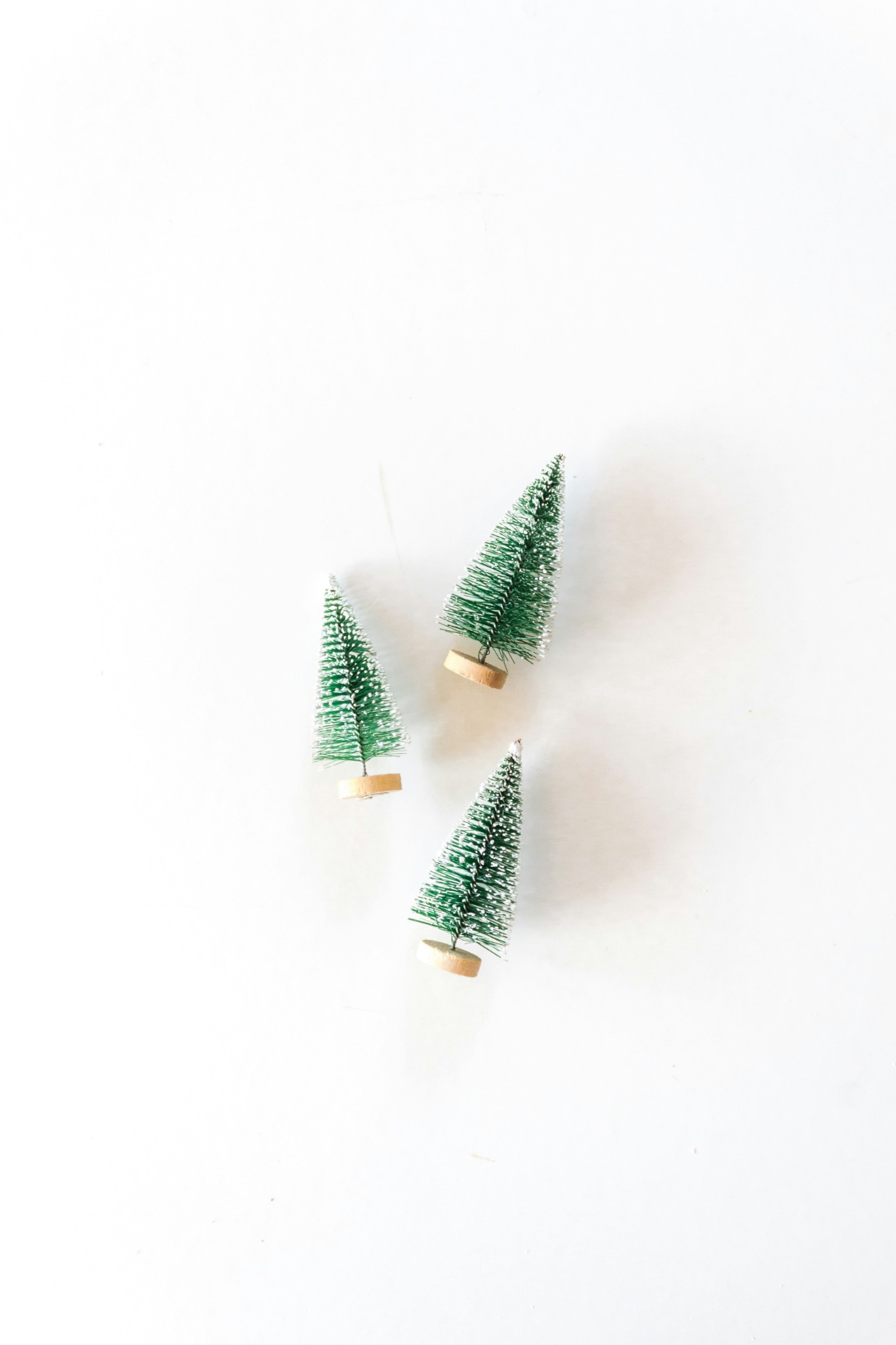 Mini christmas trees on white background