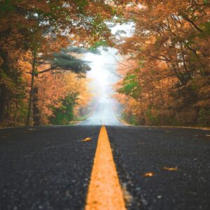 Misty autumn forest road