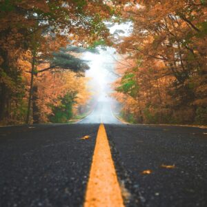 Misty autumn forest road