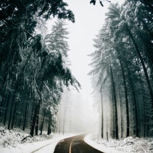 Misty snowy forest road