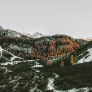 Mountain autumn snow forest