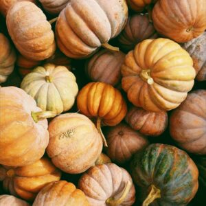 Pile of autumn pumpkins