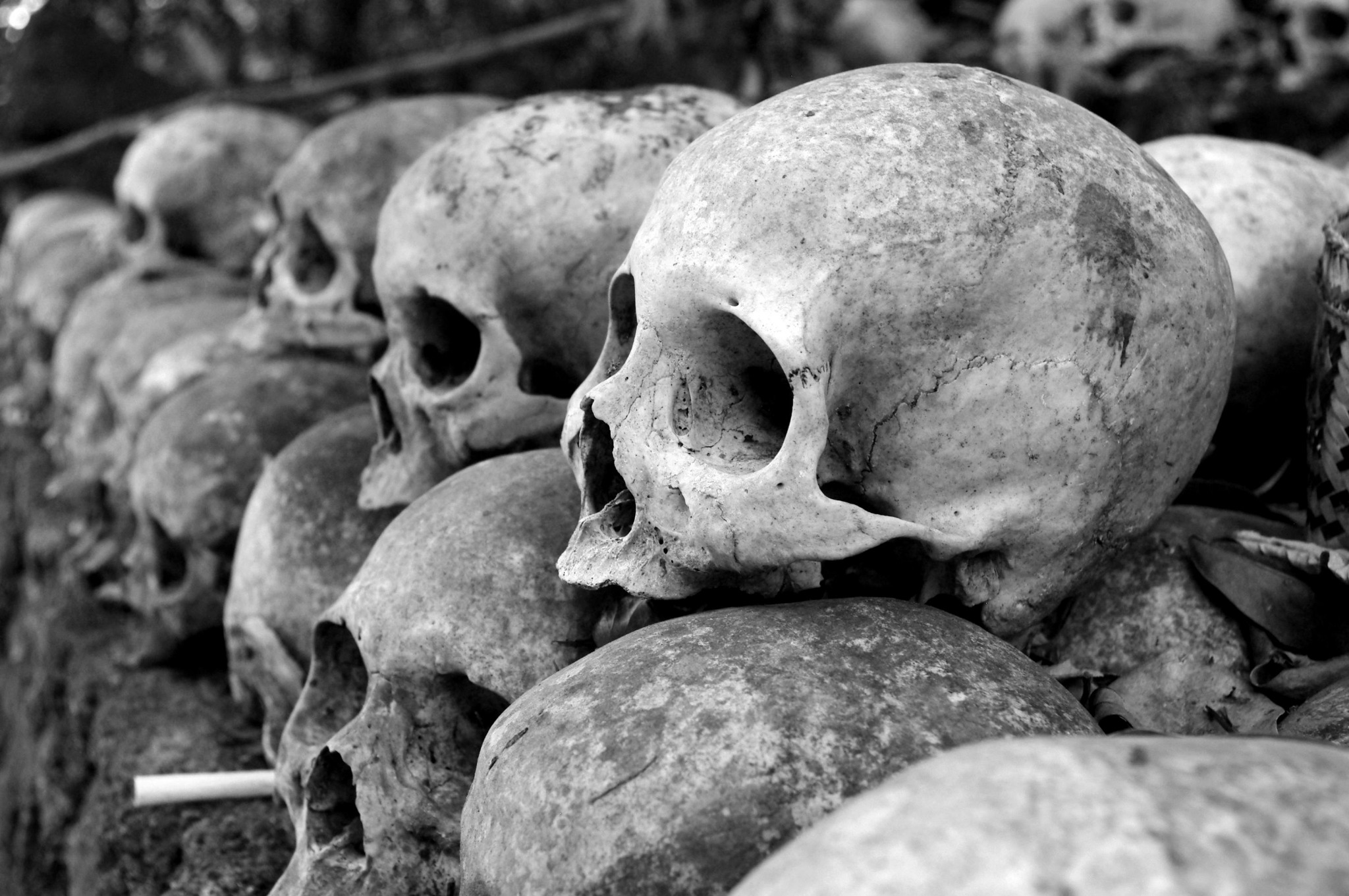 Piled skulls black white
