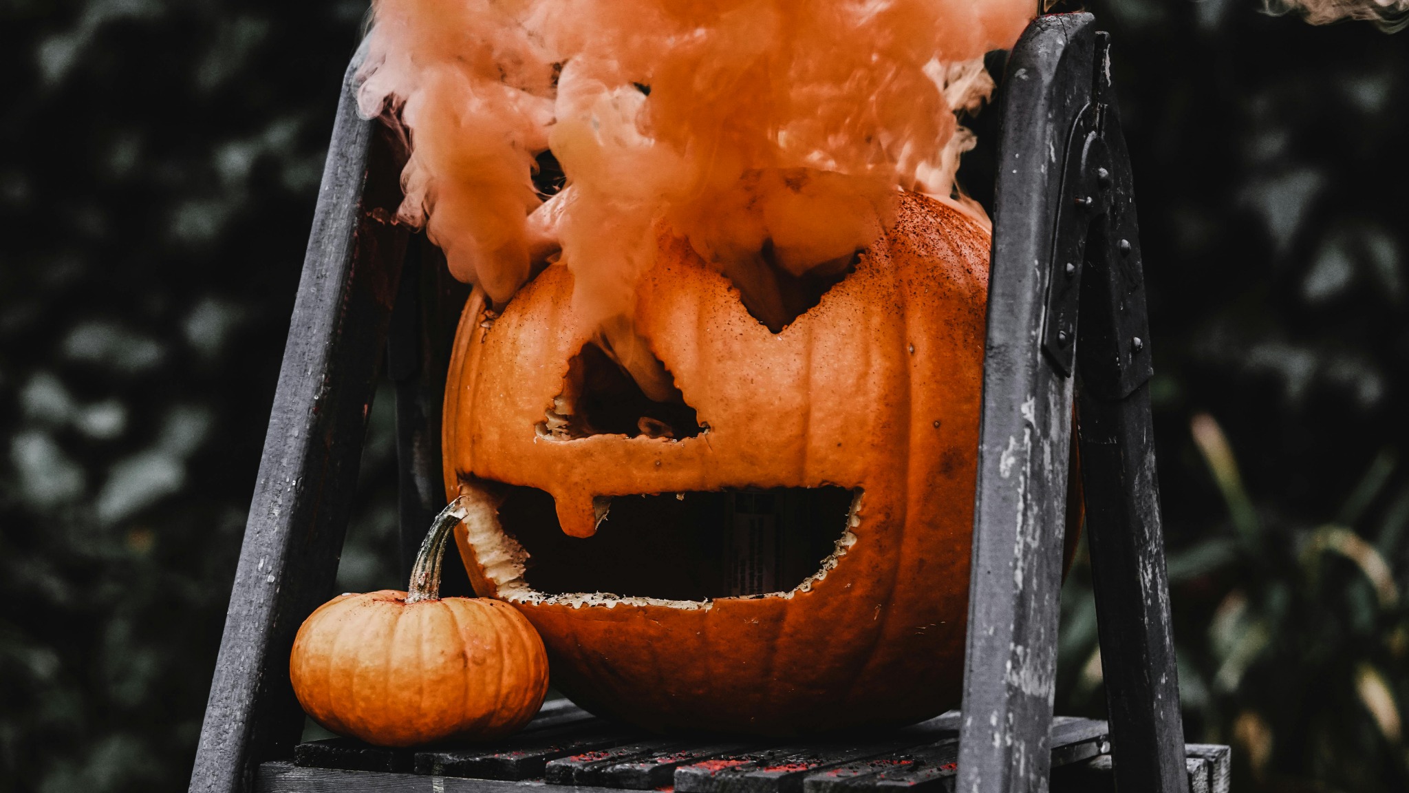 Pumpkin smoke halloween spooky