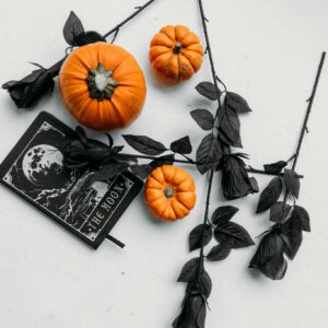 Pumpkins black book dead leaves