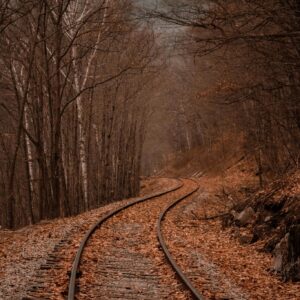 Railroad tracks fall leaves