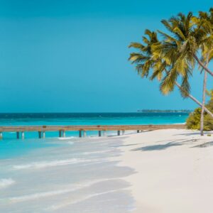 Sandy beach aerial view