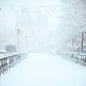 Snowstorm street lights winter scene