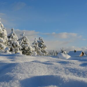 Snowy cabin winter landscape