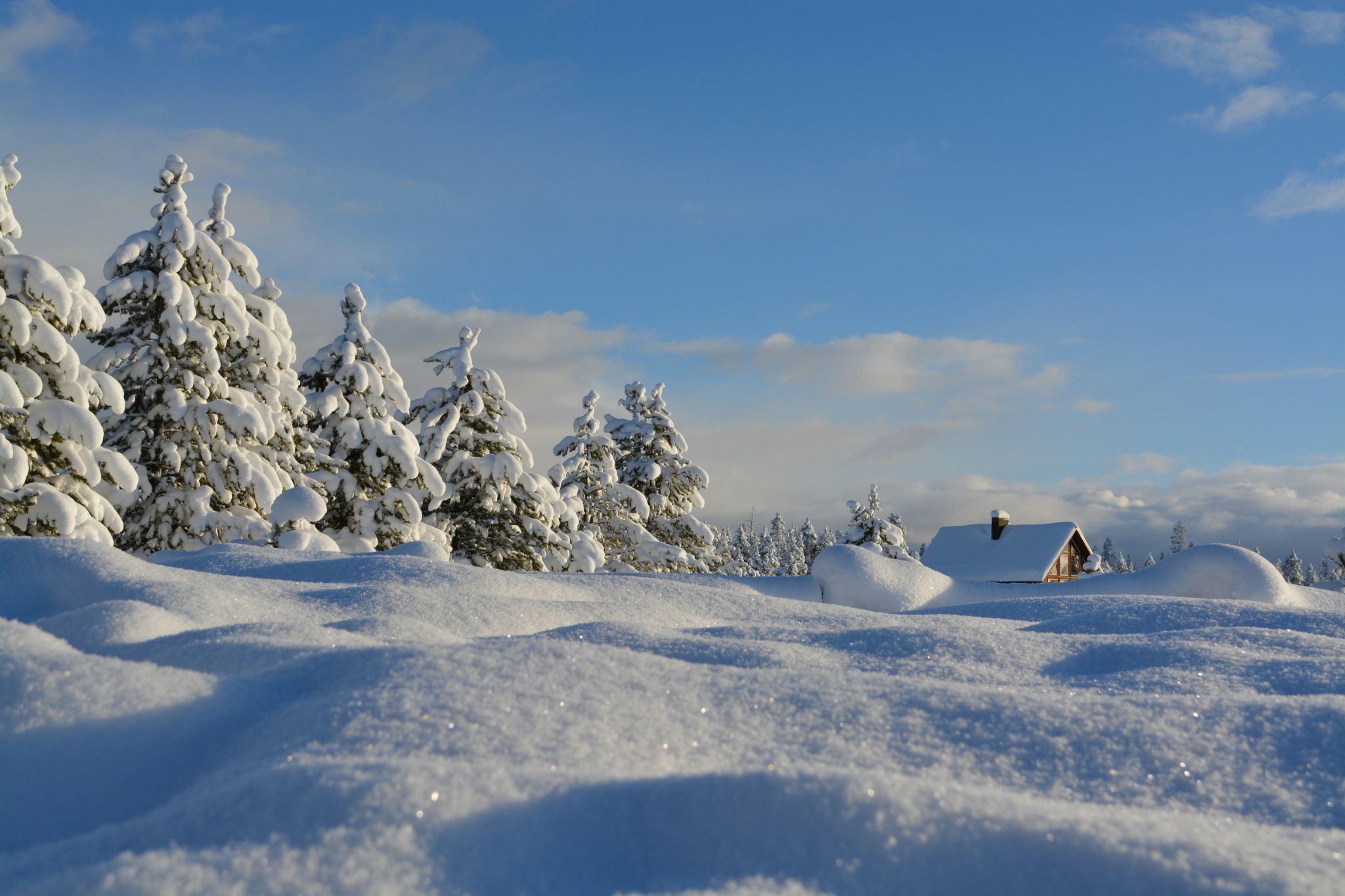 Snowy cabin winter landscape