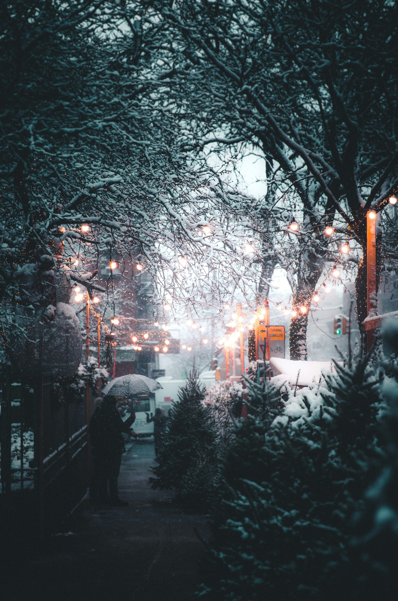 Snowy street festive lights umbrella