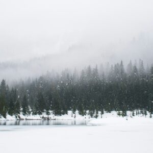 Snowy trees lake winter landscape