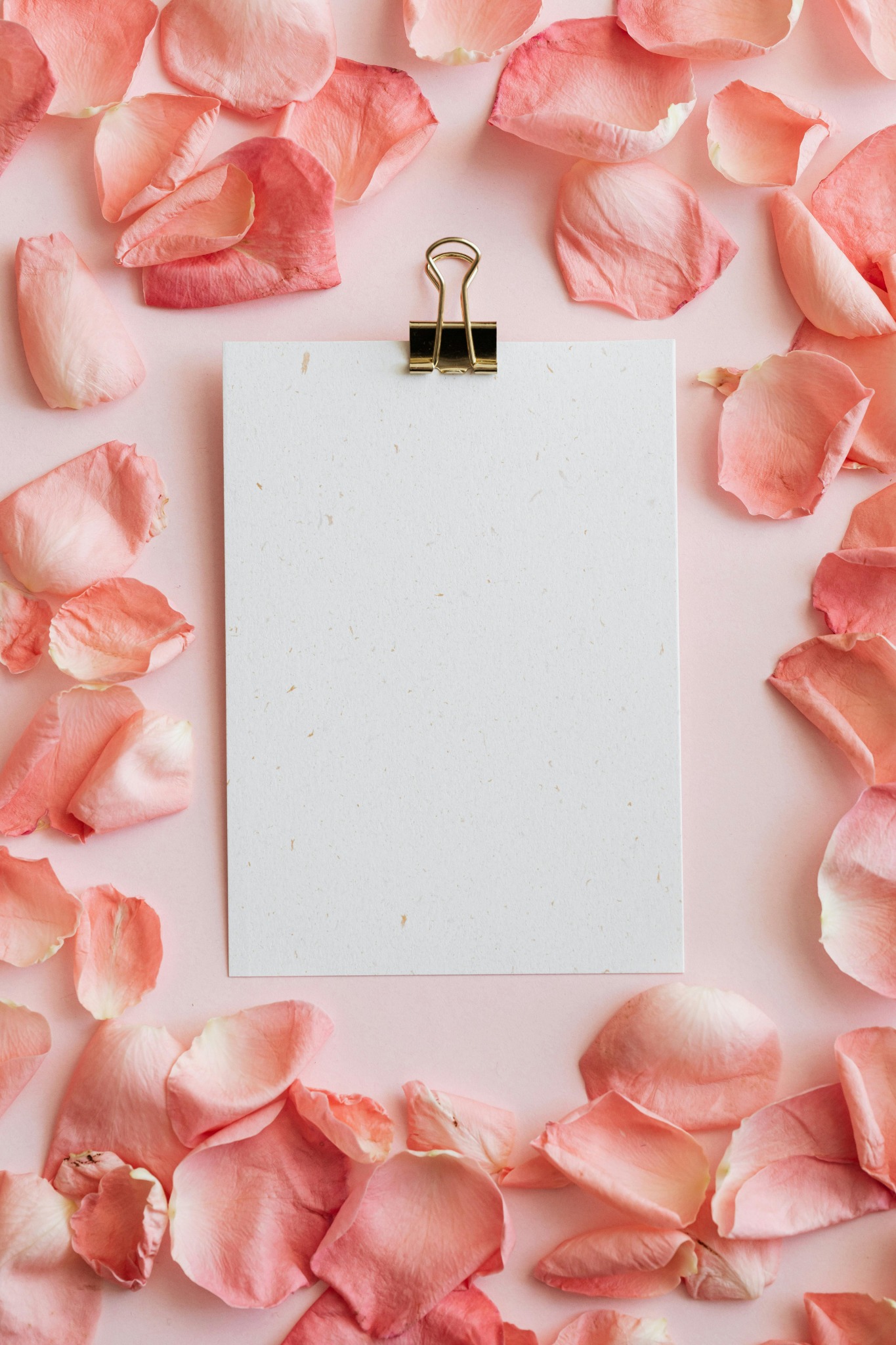 Spring rose petals paper clip