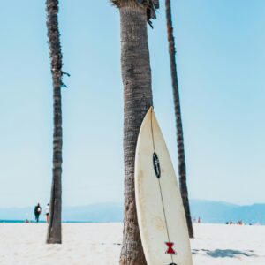 Surfboard sand beach palms