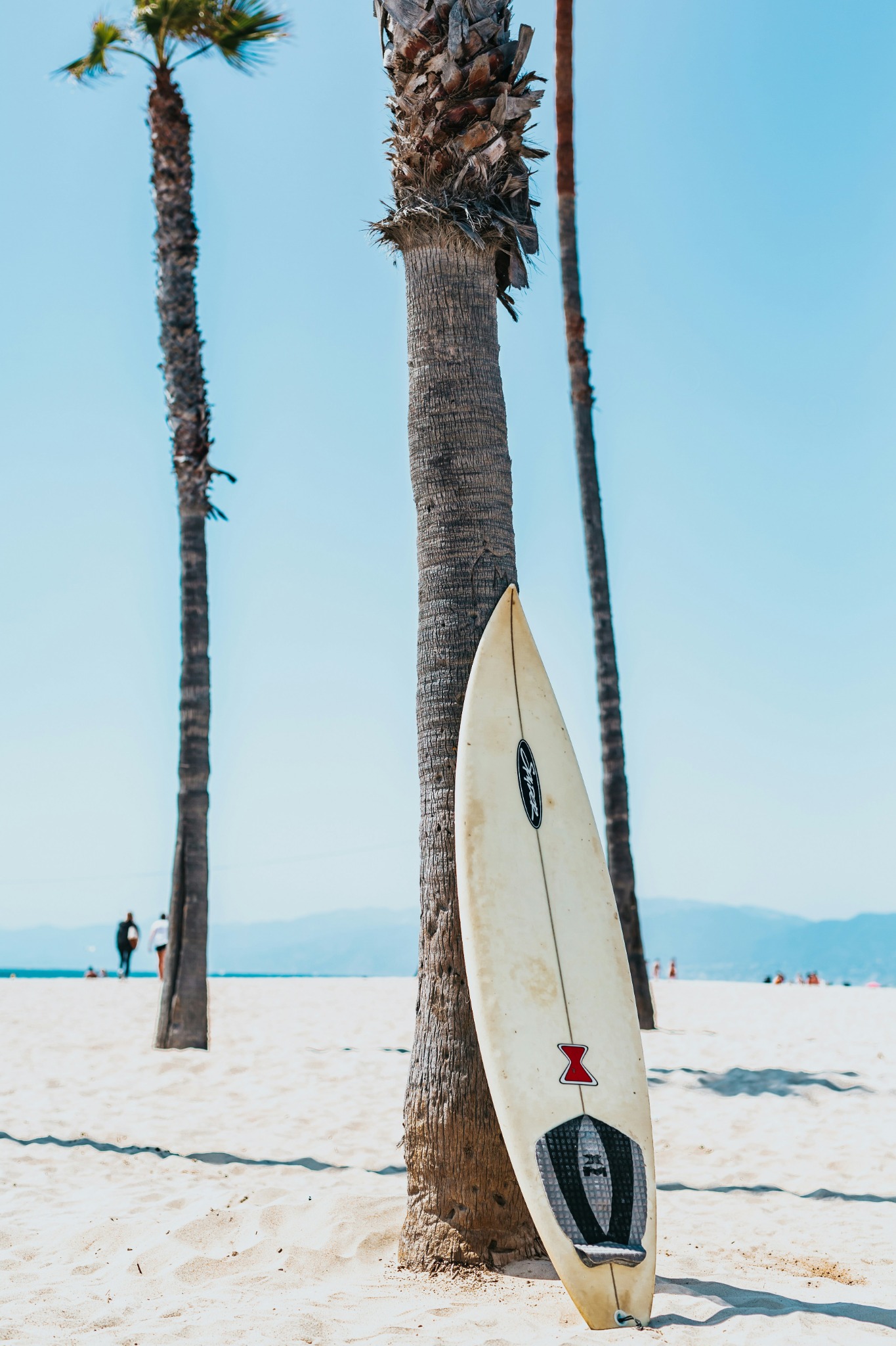 Surfboard sand beach palms