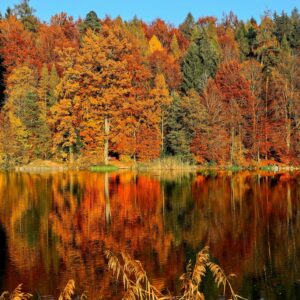 Tranquil lake autumn reflection