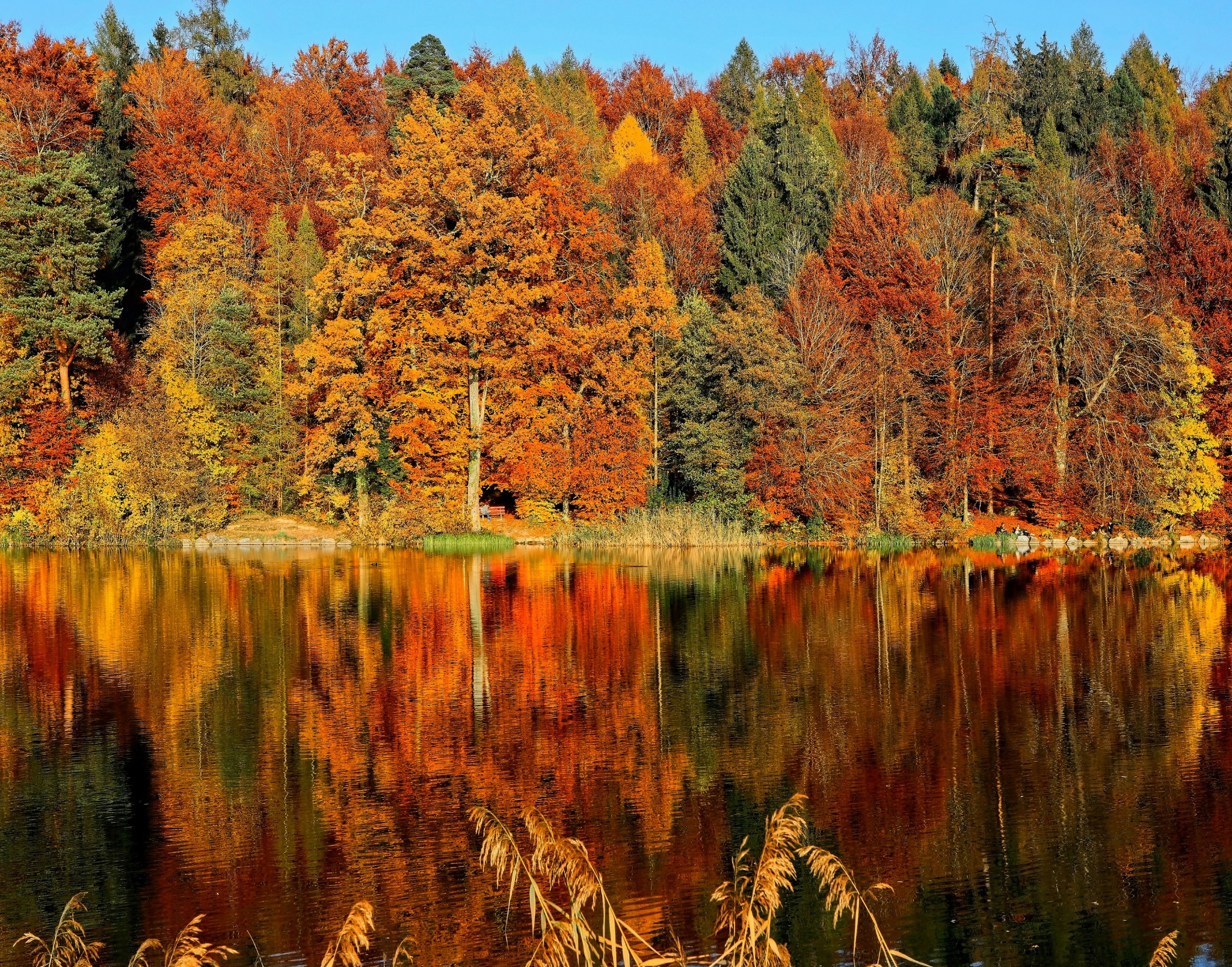 Tranquil lake autumn reflection