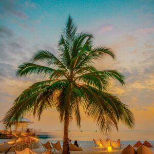 Tropical beach sunset lounge