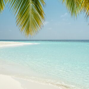 Tropical island palm fronds sea
