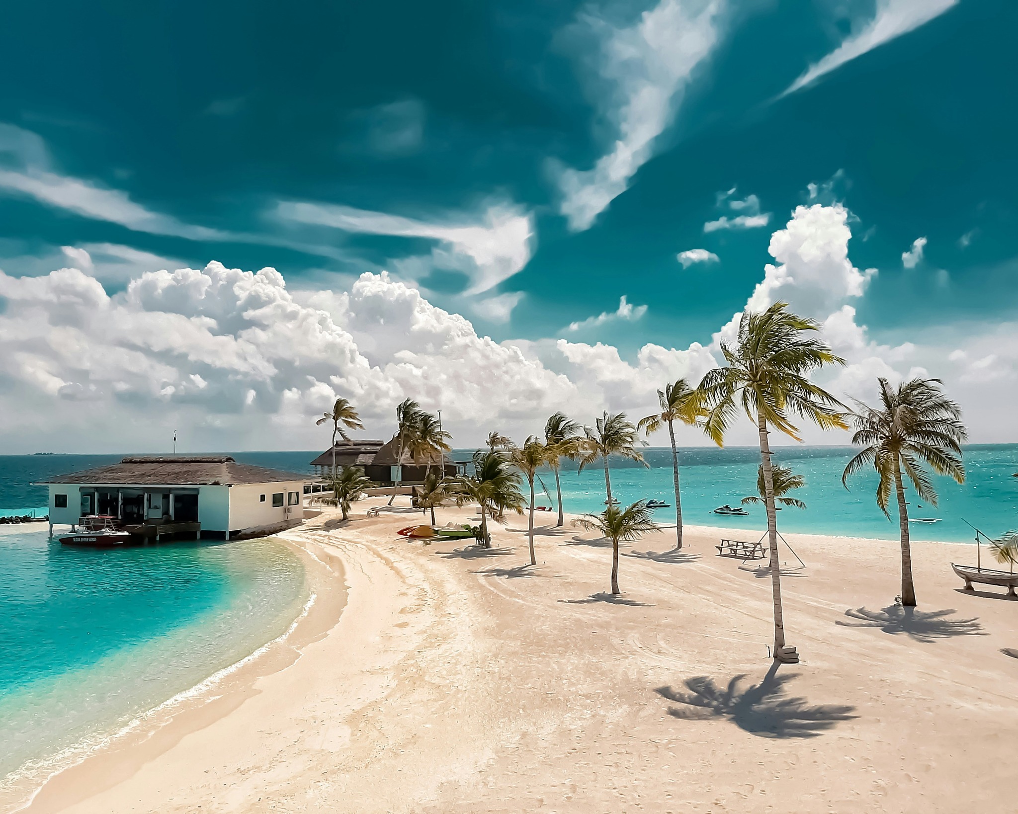 Tropical island palm trees