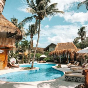 Tropical resort pool palm trees