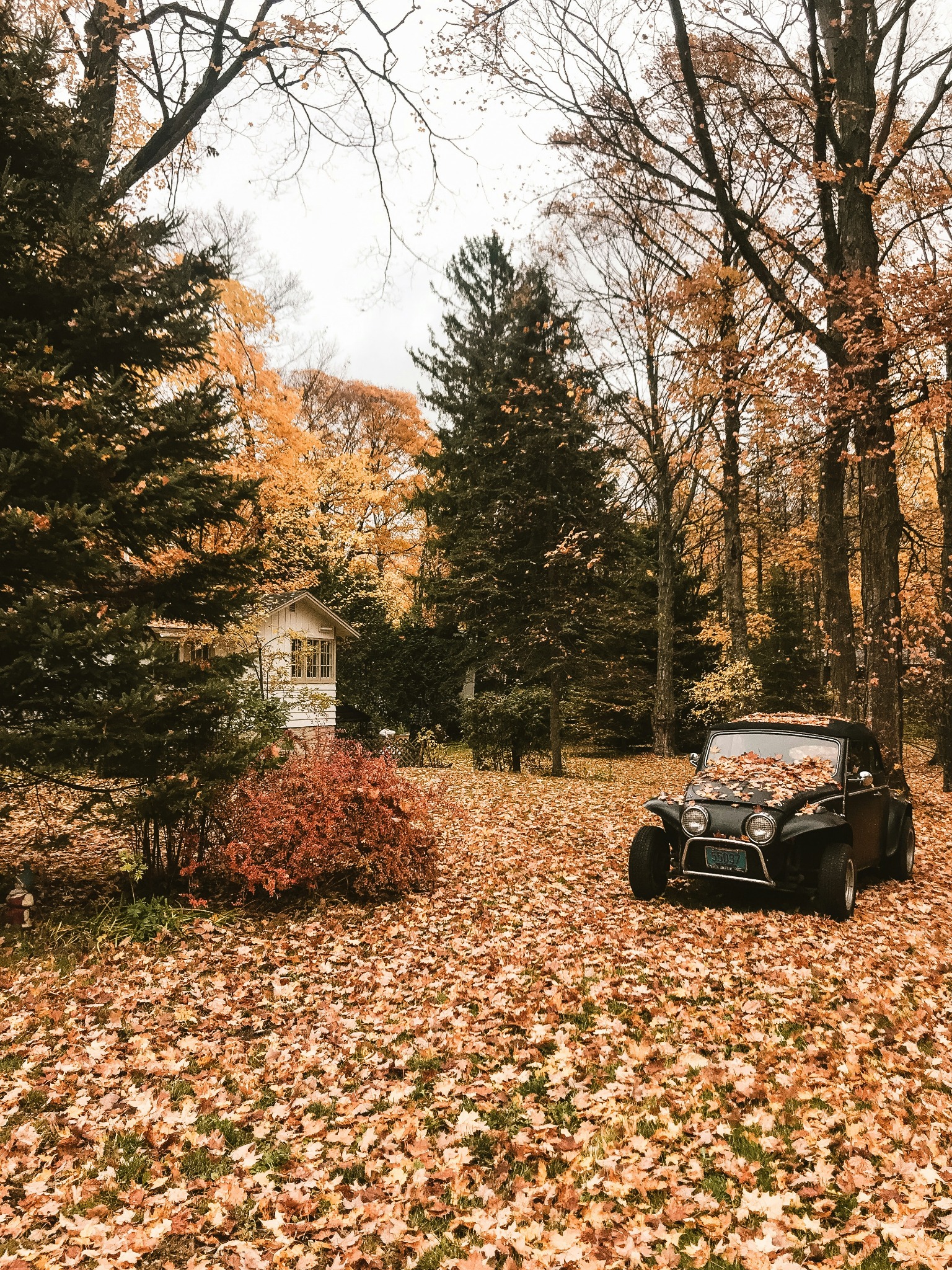 Vintage car autumn leaves