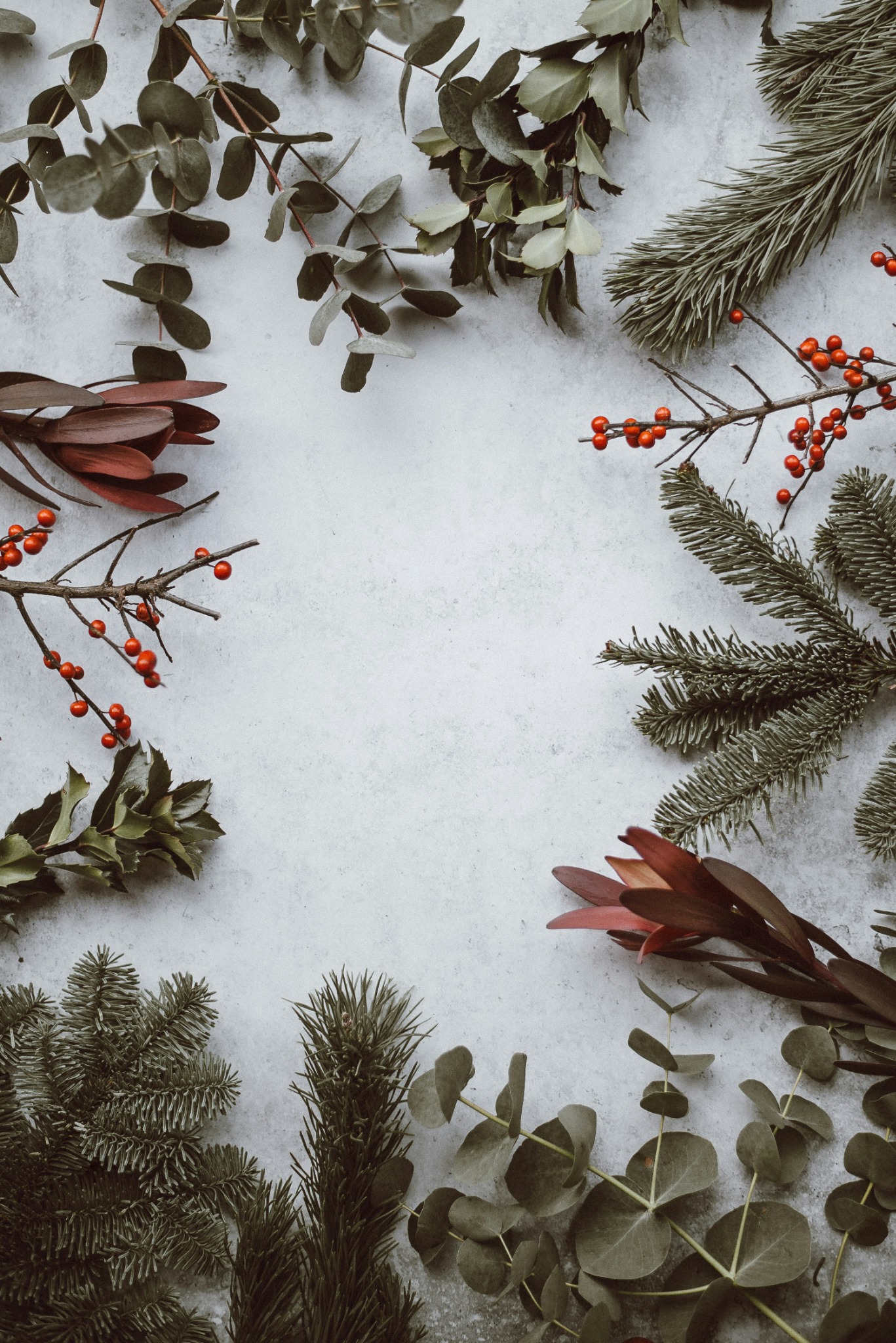 Winter holiday greenery red berries