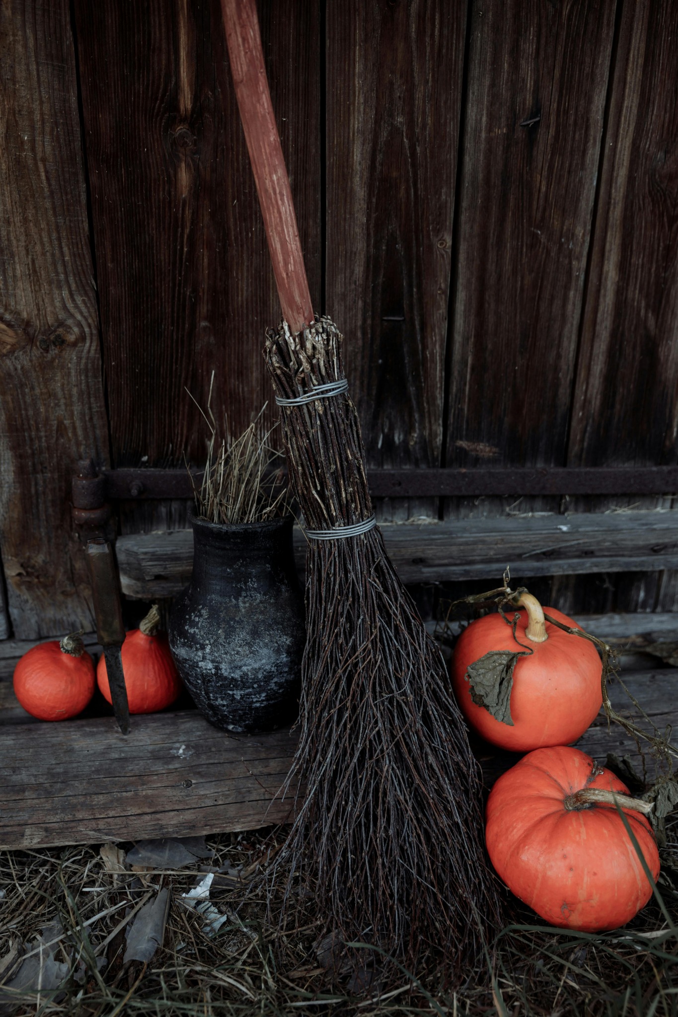 Witches broom pumpkins old barn