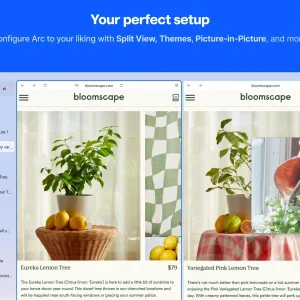 Configure arc with split view themes and picture in picture