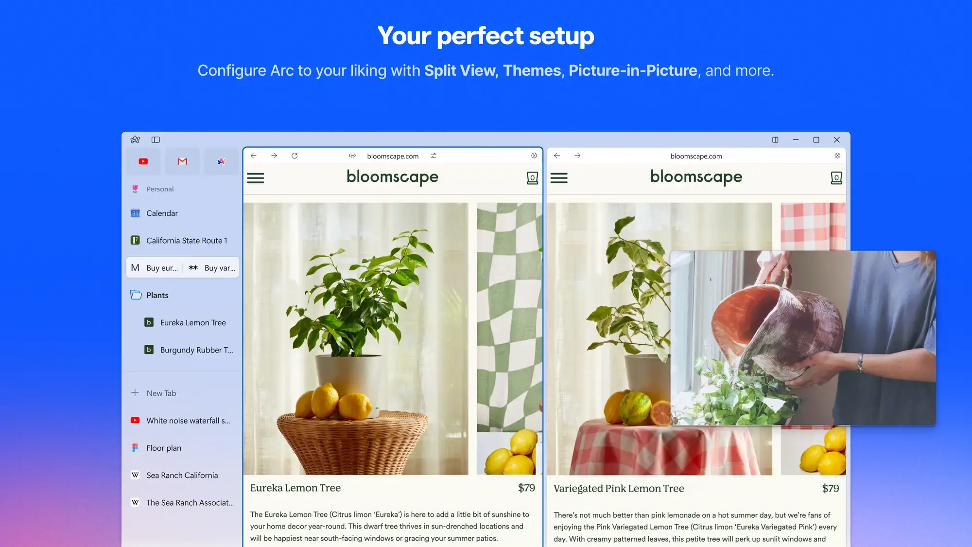 Configure arc with split view themes and picture in picture - Arc Browser for Windows