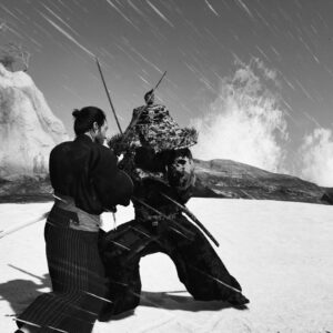 Fighting screenshot