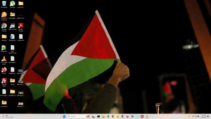 Palestine theme screenshot