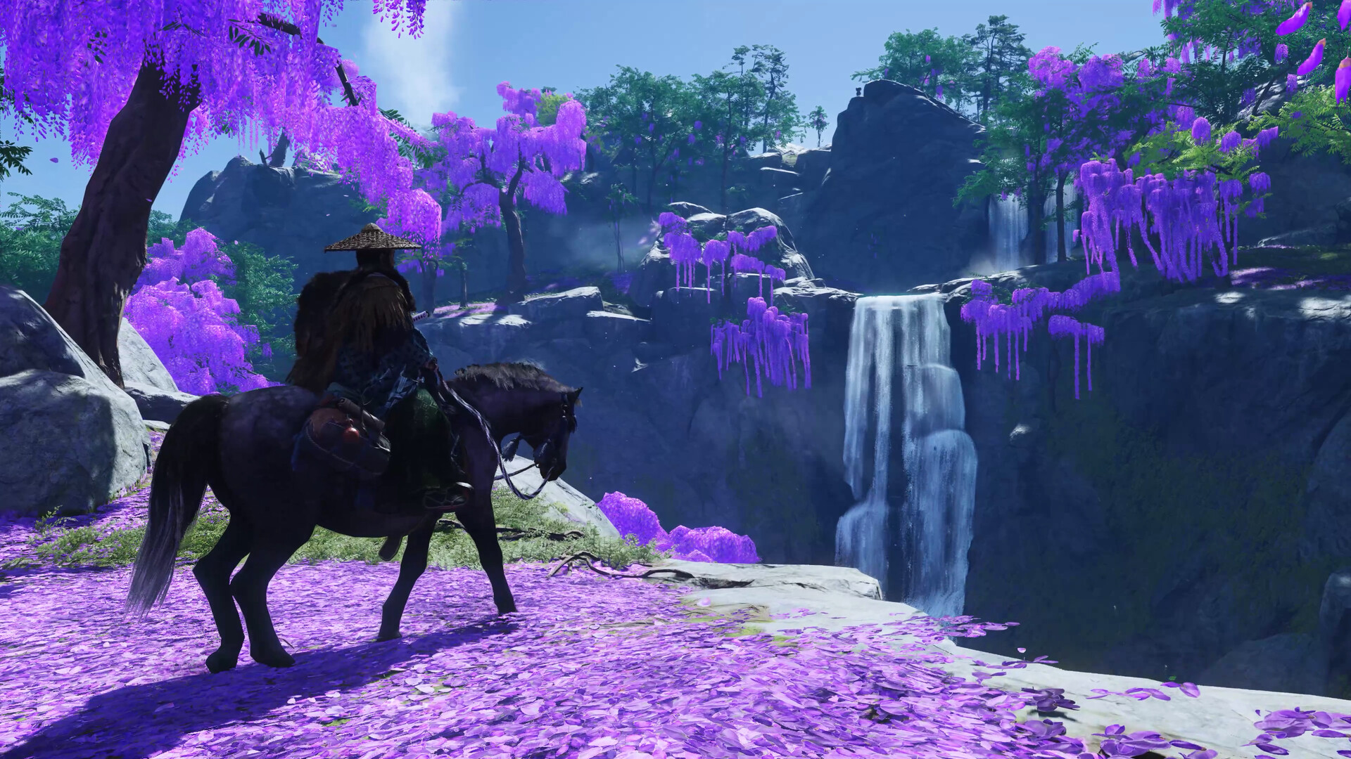 Riding horse