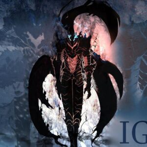 Solo leveling character igris dark knight