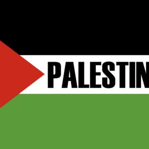 Bold palestine flag design wallpaper