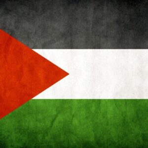 Grunge palestinian flag wallpaper