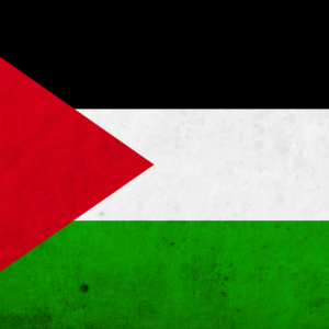 Grunge textured palestinian flag wallpaper