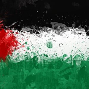 Man holding palestinian flag against sky wallpaper