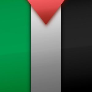 Minimalist palestinian flag design wallpaper