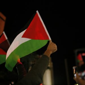 Nighttime palestine flag rally wallpaper